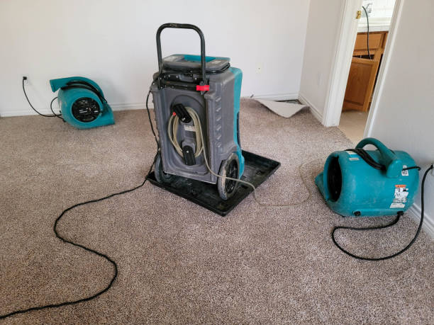 Best Water damage restoration insurance claims  in Parklawn, CA