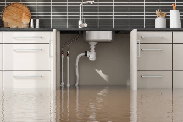 Best Mold removal after water damage  in Parklawn, CA