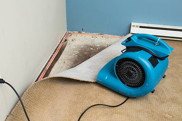 Best Commercial water damage restoration  in Parklawn, CA